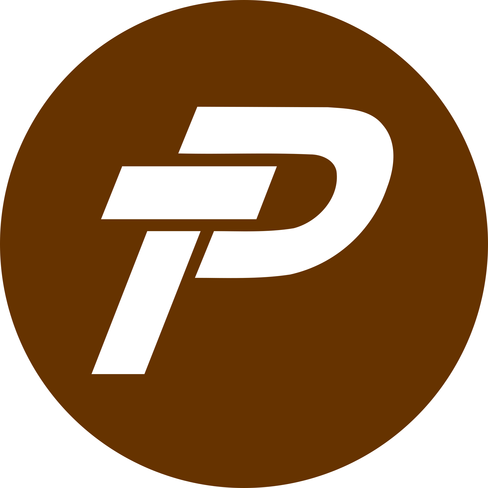 لوگو ارز Paypex
